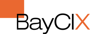 BayCIX Logo: BayCIX GmbH